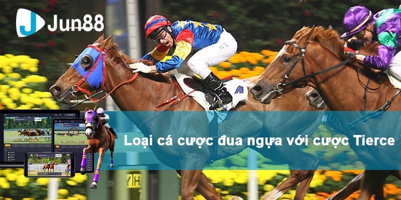 Jun88 - Cá Cược Đua Ngựa: Hướng Dẫn Cơ Bản Đặt Cược Hiệu Quả Lọa hình các cược đua ngựa Tierce